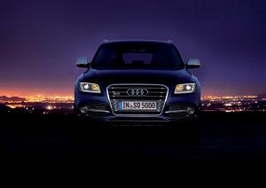 Audi SQ5 TDI 2013 года  (WW)